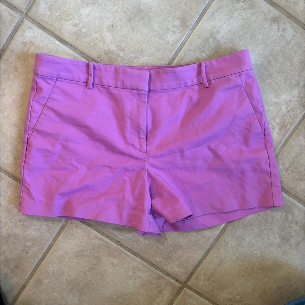 LOFT Lavender Women's Shorts